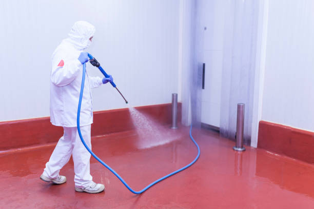 Best Roof Washing  in Hemlock, MI