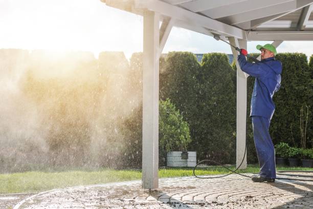 Best Pool Deck Cleaning  in Hemlock, MI