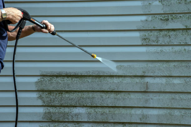 Best Spring Cleaning  in Hemlock, MI