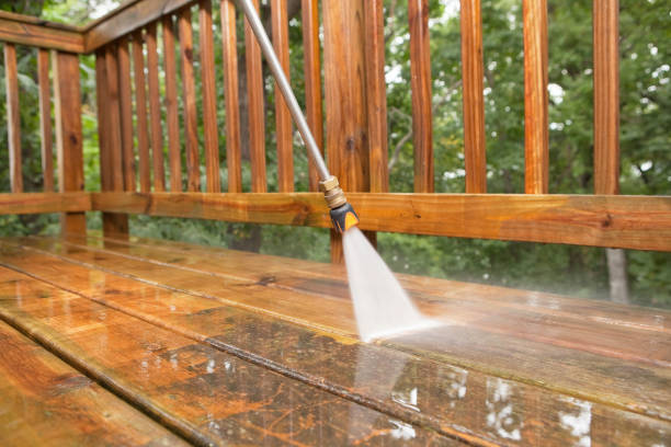 Best Solar Panel Cleaning  in Hemlock, MI